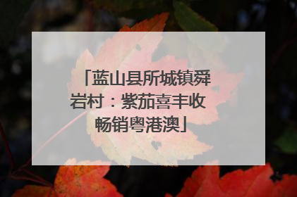 蓝山县所城镇舜岩村：紫茄喜丰收 畅销粤港澳