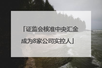 证监会核准中央汇金成为8家公司实控人