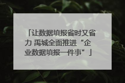让数据填报省时又省力 禹城全面推进“企业数据填报一件事”
