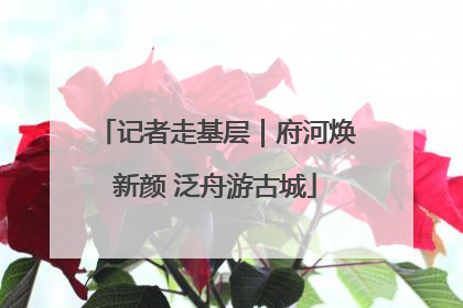 记者走基层｜府河焕新颜 泛舟游古城