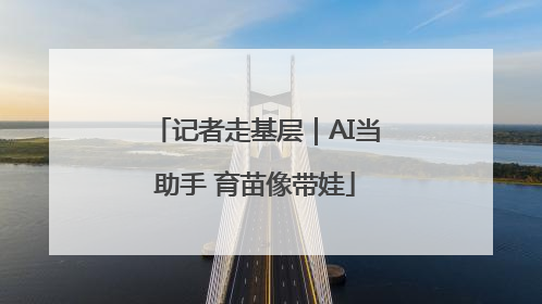 记者走基层｜AI当助手 育苗像带娃