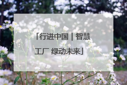 行进中国｜智慧工厂 绿动未来