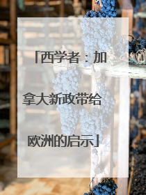 西学者：加拿大新政带给欧洲的启示