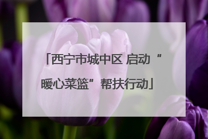 西宁市城中区 启动“暖心菜篮”帮扶行动