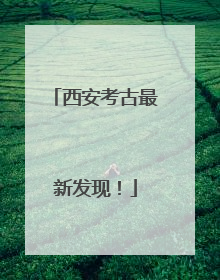 西安考古最新发现！