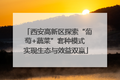 西安高新区探索“葡萄+蔬菜”套种模式 实现生态与效益双赢