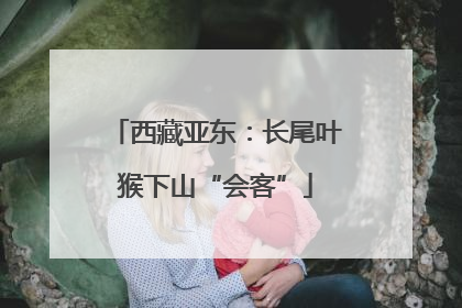 西藏亚东：长尾叶猴下山“会客”