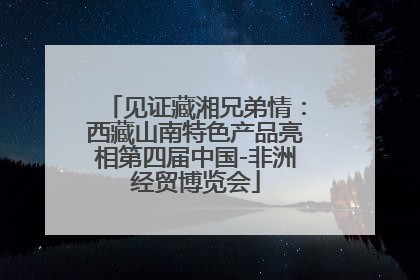 见证藏湘兄弟情：西藏山南特色产品亮相第四届中国-非洲经贸博览会