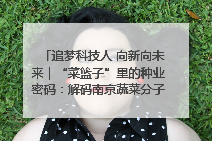 追梦科技人 向新向未来｜“菜篮子”里的种业密码：解码南京蔬菜分子育种的创新之路