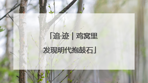 追·迹｜鸡窝里发现明代抱鼓石