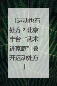 运动也有处方？北京丰台“武术进家庭”教开运动处方