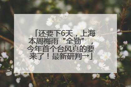 还要下6天，上海本周梅雨“全勤”，今年首个台风真的要来了！最新研判→