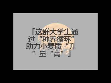 这群大学生通过“种养循环”助力小麦质“升”量“高”