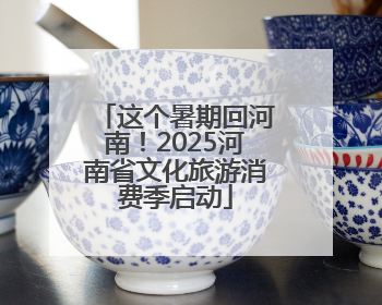 这个暑期回河南！2025河南省文化旅游消费季启动