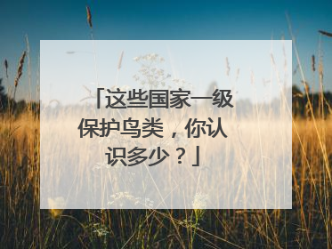 这些国家一级保护鸟类，你认识多少？