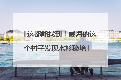 这都能找到！威海的这个村子发现水杉秘境