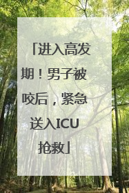 进入高发期！男子被咬后，紧急送入ICU抢救