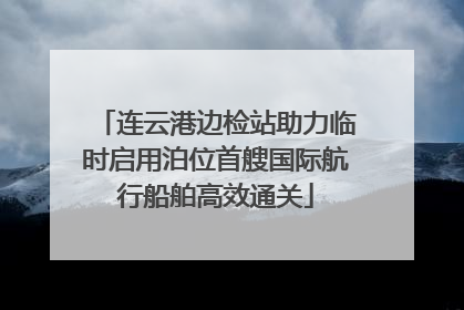 连云港边检站助力临时启用泊位首艘国际航行船舶高效通关