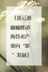 连云港赣榆推动海苔老产业向“新”发展