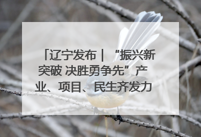 辽宁发布｜“振兴新突破 决胜勇争先”产业、项目、民生齐发力 葫芦岛按下决胜之年“加速键”
