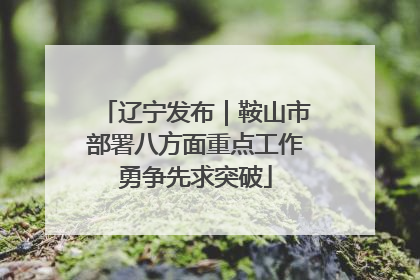 辽宁发布｜鞍山市部署八方面重点工作勇争先求突破