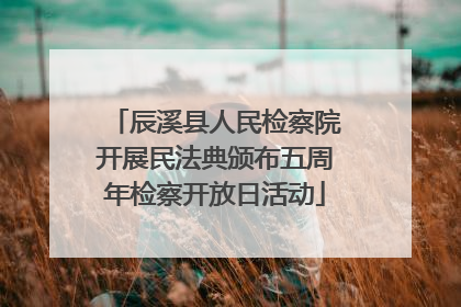 辰溪县人民检察院开展民法典颁布五周年检察开放日活动