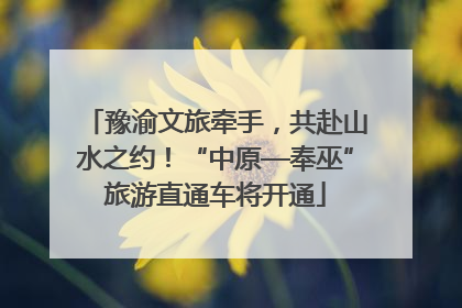 豫渝文旅牵手，共赴山水之约！“中原—奉巫”旅游直通车将开通