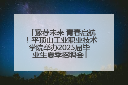 豫荐未来 青春启航！平顶山工业职业技术学院举办2025届毕业生夏季招聘会