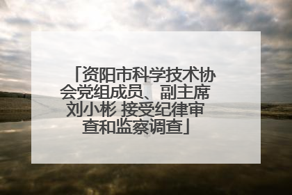 资阳市科学技术协会党组成员、副主席刘小彬 接受纪律审查和监察调查