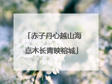 赤子丹心越山海 嘉木长青映榕城