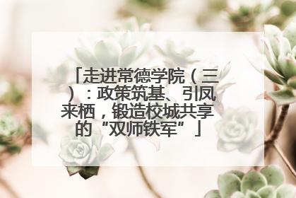 走进常德学院（三）：政策筑基、引凤来栖，锻造校城共享的“双师铁军”