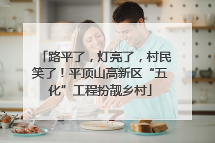 路平了，灯亮了，村民笑了！平顶山高新区“五化”工程扮靓乡村