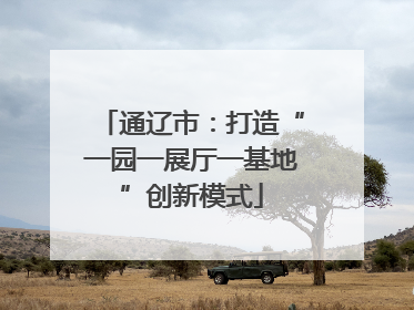 通辽市：打造“一园一展厅一基地”创新模式