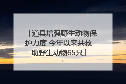 道县增强野生动物保护力度 今年以来共救助野生动物65只