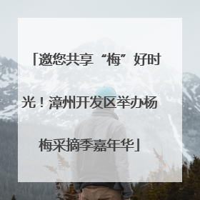 邀您共享“梅”好时光！漳州开发区举办杨梅采摘季嘉年华