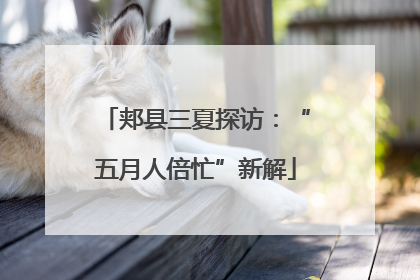 郏县三夏探访：“五月人倍忙”新解