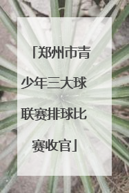 郑州市青少年三大球联赛排球比赛收官