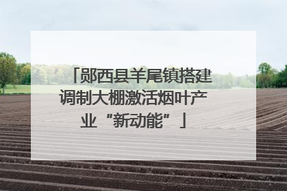 郧西县羊尾镇搭建调制大棚激活烟叶产业“新动能”