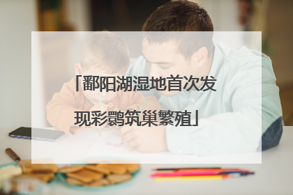 鄱阳湖湿地首次发现彩鹮筑巢繁殖
