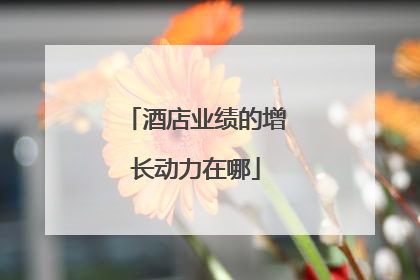 酒店业绩的增长动力在哪