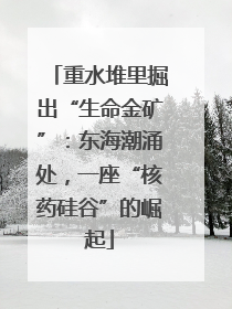 重水堆里掘出“生命金矿”：东海潮涌处，一座“核药硅谷”的崛起