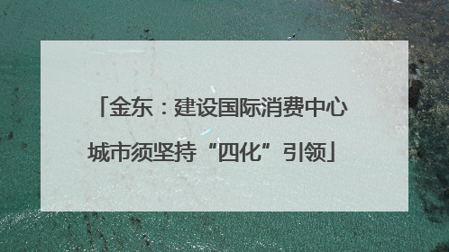 金东：建设国际消费中心城市须坚持“四化”引领