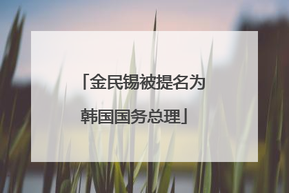 金民锡被提名为韩国国务总理