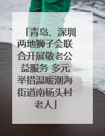 青岛、深圳两地狮子会联合开展敬老公益服务 多元举措温暖潮海街道南杨头村老人