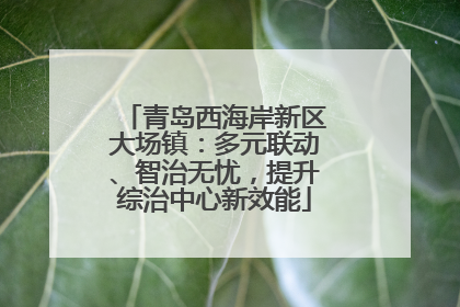 青岛西海岸新区大场镇：多元联动、智治无忧，提升综治中心新效能