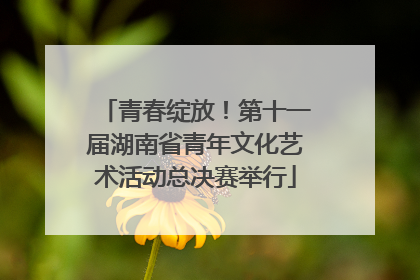 青春绽放！第十一届湖南省青年文化艺术活动总决赛举行