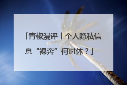 青椒漫评丨个人隐私信息“裸奔”何时休？