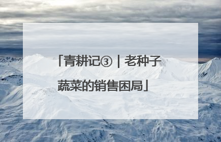 青耕记③｜老种子蔬菜的销售困局