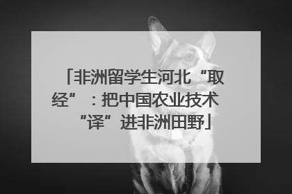 非洲留学生河北“取经”：把中国农业技术“译”进非洲田野