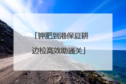钾肥到港保夏耕 边检高效助通关